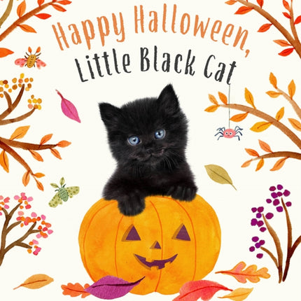 HAPPY HALLOWEEN LITTLE BLACK CAT