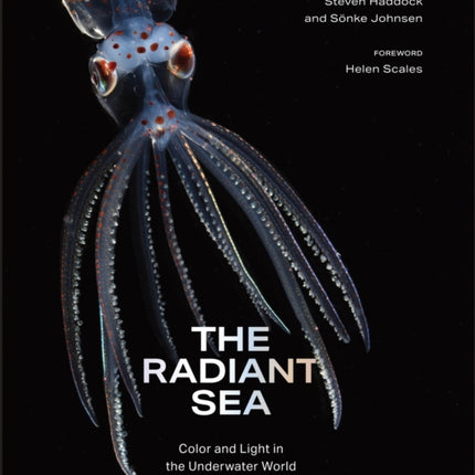 The Radiant Sea