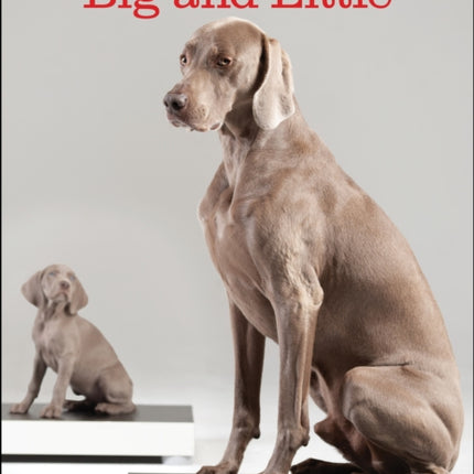 William Wegman Big and Little 2025 Wall Calendar