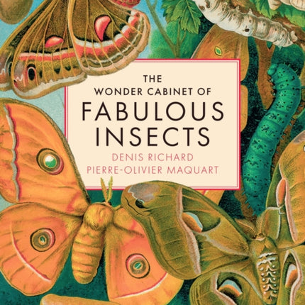 The Wonder Cabinet of Fabulous Insects