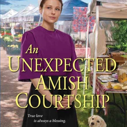 Unexpected Amish Courtship, An