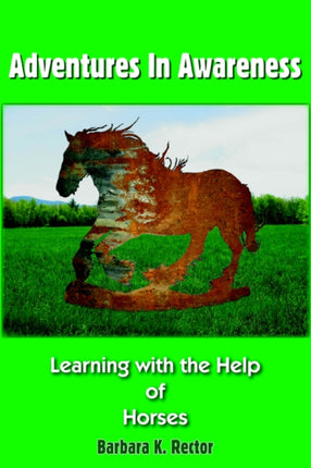 Adventures In Awareness Learning with the Help of Horses