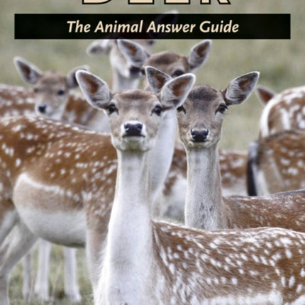 Deer: The Animal Answer Guide