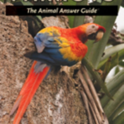 Parrots