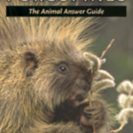 Porcupines: The Animal Answer Guide