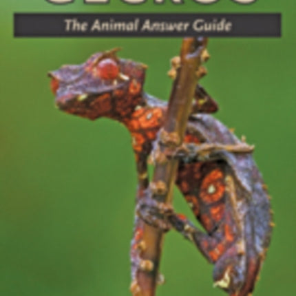 Geckos: The Animal Answer Guide