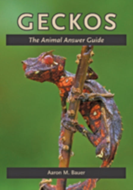 Geckos: The Animal Answer Guide