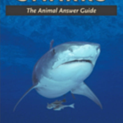 Sharks: The Animal Answer Guide