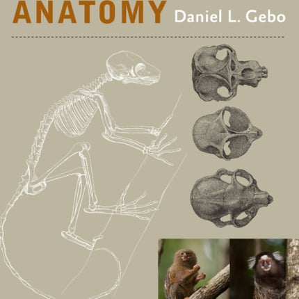 Primate Comparative Anatomy