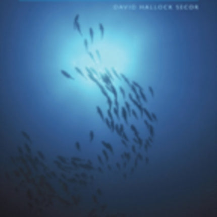 Migration Ecology of Marine Fishes