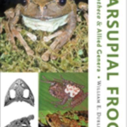 Marsupial Frogs