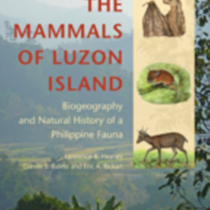 The Mammals of Luzon Island: Biogeography and Natural History of a Philippine Fauna