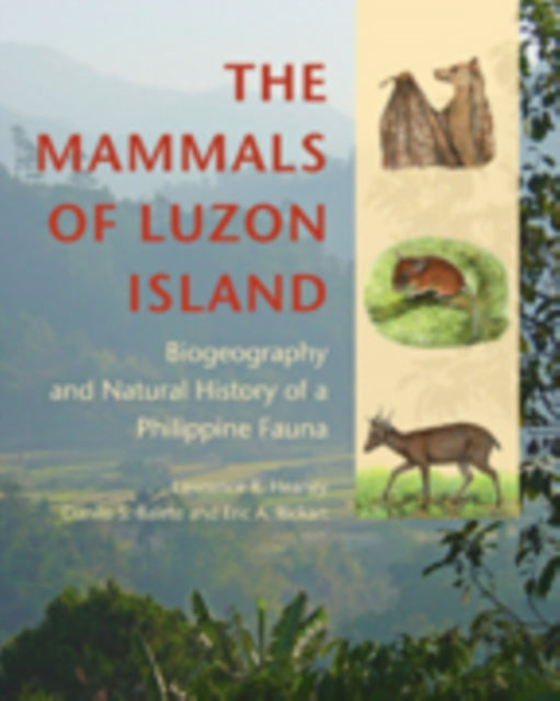 The Mammals of Luzon Island: Biogeography and Natural History of a Philippine Fauna