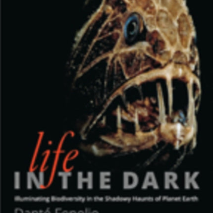 Life in the Dark
