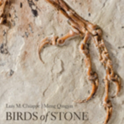 Birds of Stone: Chinese Avian Fossils from the Age of Dinosaurs