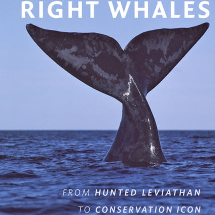 North Atlantic Right Whales: From Hunted Leviathan to Conservation Icon