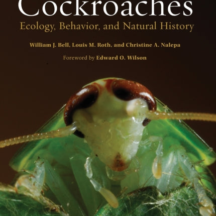 Cockroaches