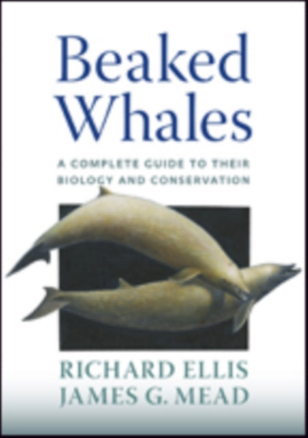 Beaked Whales: A Complete Guide to Their Biology and Conservation