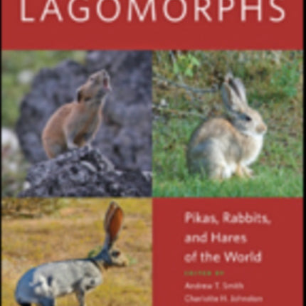 Lagomorphs: Pikas, Rabbits, and Hares of the World