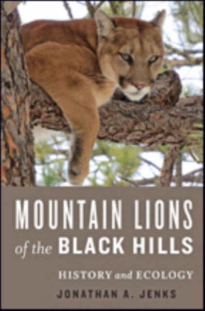 Mountain Lions of the Black Hills: History and Ecology