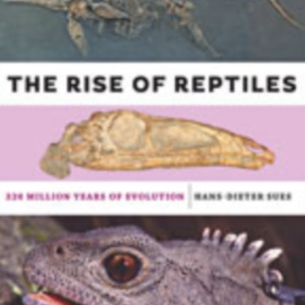 The Rise of Reptiles: 320 Million Years of Evolution