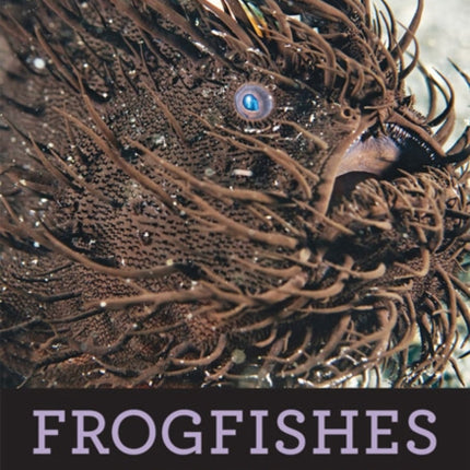 Frogfishes: Biodiversity, Zoogeography, and Behavioral Ecology