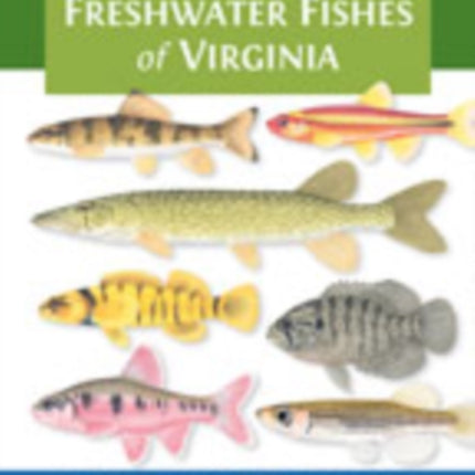 Field Guide to Freshwater Fishes of Virginia