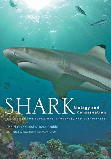 Shark Biology and Conservation  Essentials for