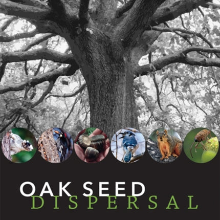 Oak Seed Dispersal: A Study in Plant-Animal Interactions