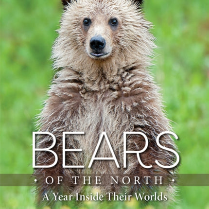 Bears of the North: A Year Inside Their Worlds