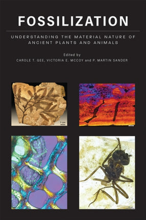 Fossilization: Understanding the Material Nature of Ancient Plants and Animals