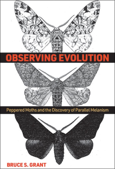 Observing Evolution: Peppered Moths and the Discovery of Parallel Melanism