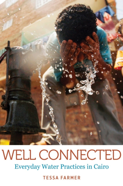 Well Connected: Everyday Water Practices in Cairo