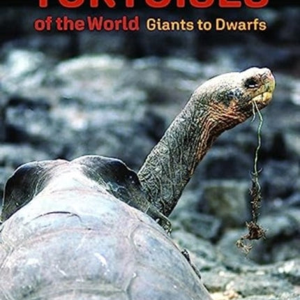 Tortoises of the World  Giants to Dwarfs