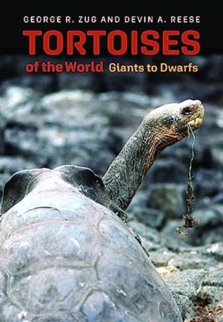 Tortoises of the World  Giants to Dwarfs