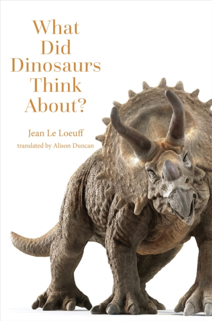 What Did Dinosaurs Think About