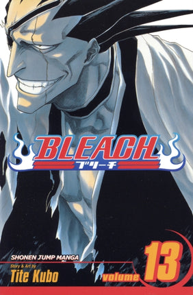 Bleach, Vol. 13