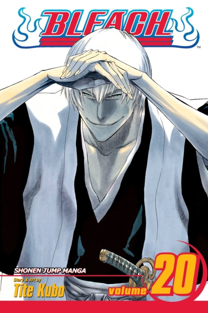 Bleach, Vol. 20