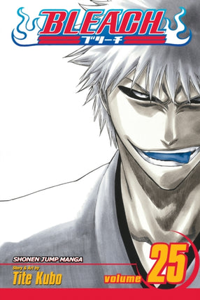 Bleach, Vol. 25