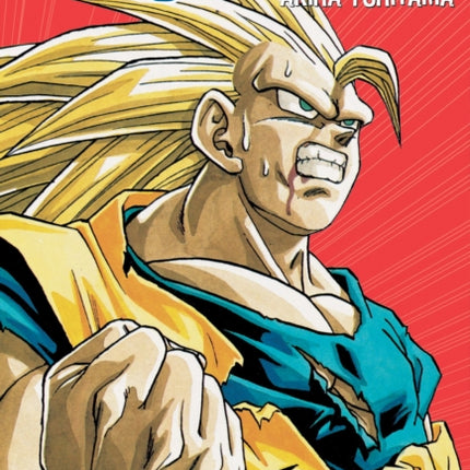 Dragon Ball Z (VIZBIG Edition), Vol. 9