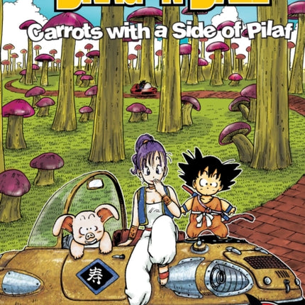 Dragon Ball: Chapter Book, Vol. 4, 4: Carrots with a Side of Pilaf