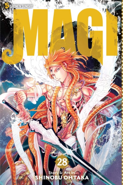 Magi The Labyrinth of Magic Vol. 28