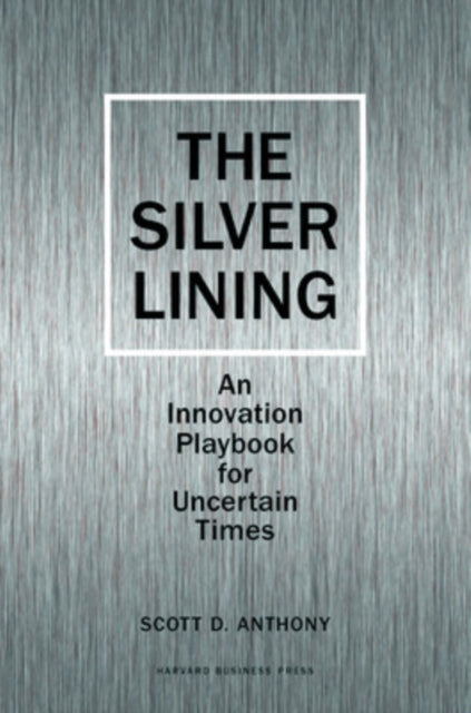 Silver Lining: Your Guide to Innovating in a Downturn