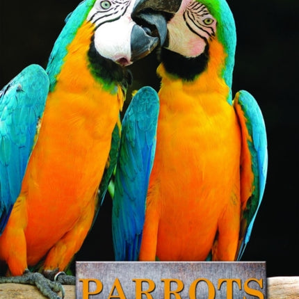 Parrots