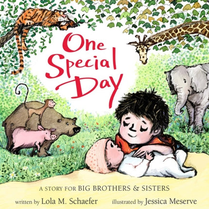 One Special Day: A Story for Big Brothers and Sisters