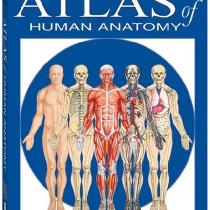 Atlas Of Human Anatomy