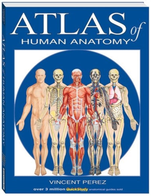 Atlas Of Human Anatomy