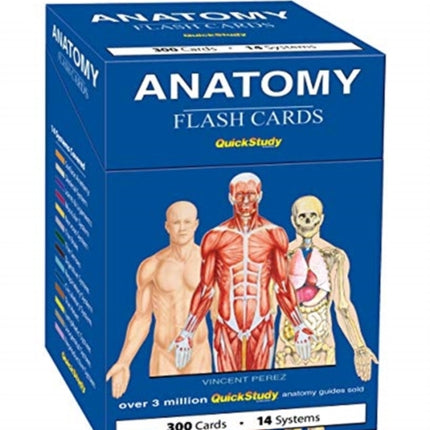 Anatomy Flash Cards (300 cards)