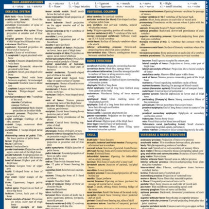 Anatomy Terminology Reference