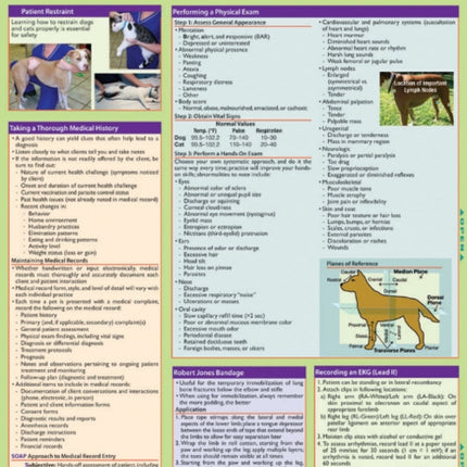 Veterinary Assistant